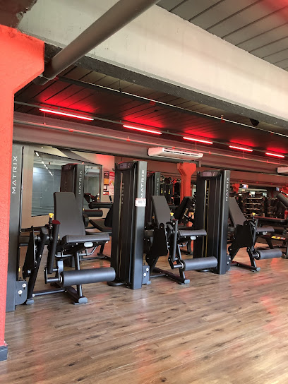 REDFIT Academias