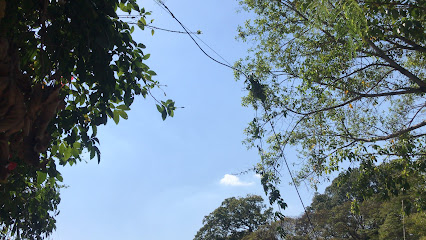 Centro Cor