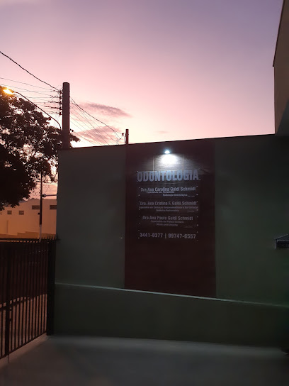 Dra. Ana Paula Guidi Schmidt Hidalgo
